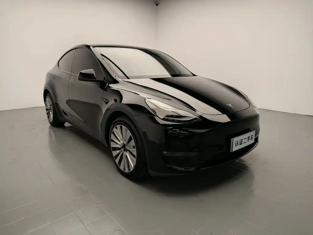 Tesla Model Y — миниатюра 3