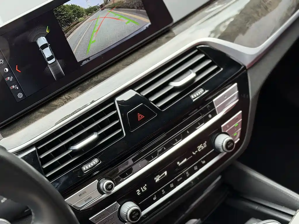 BMW 5 Series 5 2018 530Li Lead M Sport