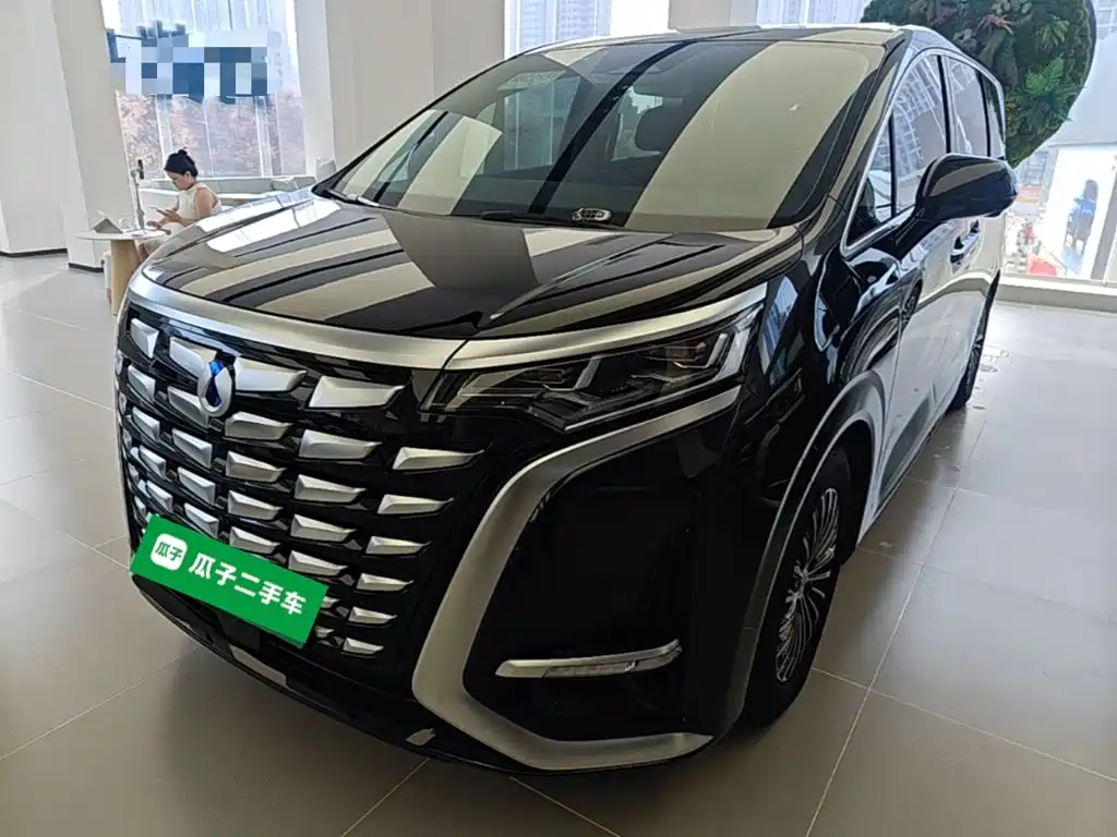 Denza Denza D9 — миниатюра 2