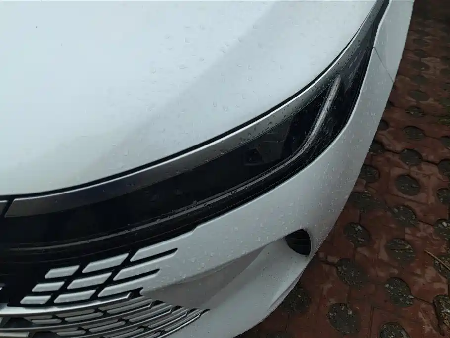 BYD Destroyer 05 2023 Champion DM-i 55KM Luxury