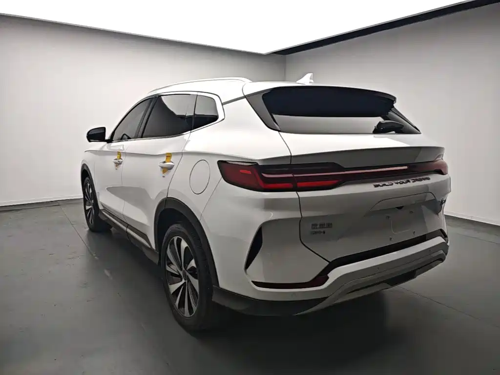 BYD PLUS New Energy — миниатюра 5