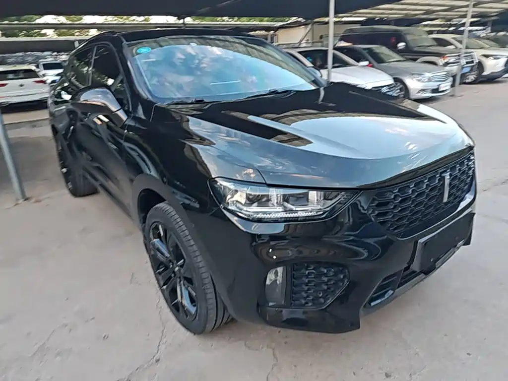 Wey Wey VV5 — миниатюра 22