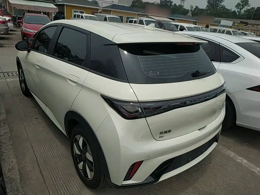 BYD Dolphin 2024 420km Freedom