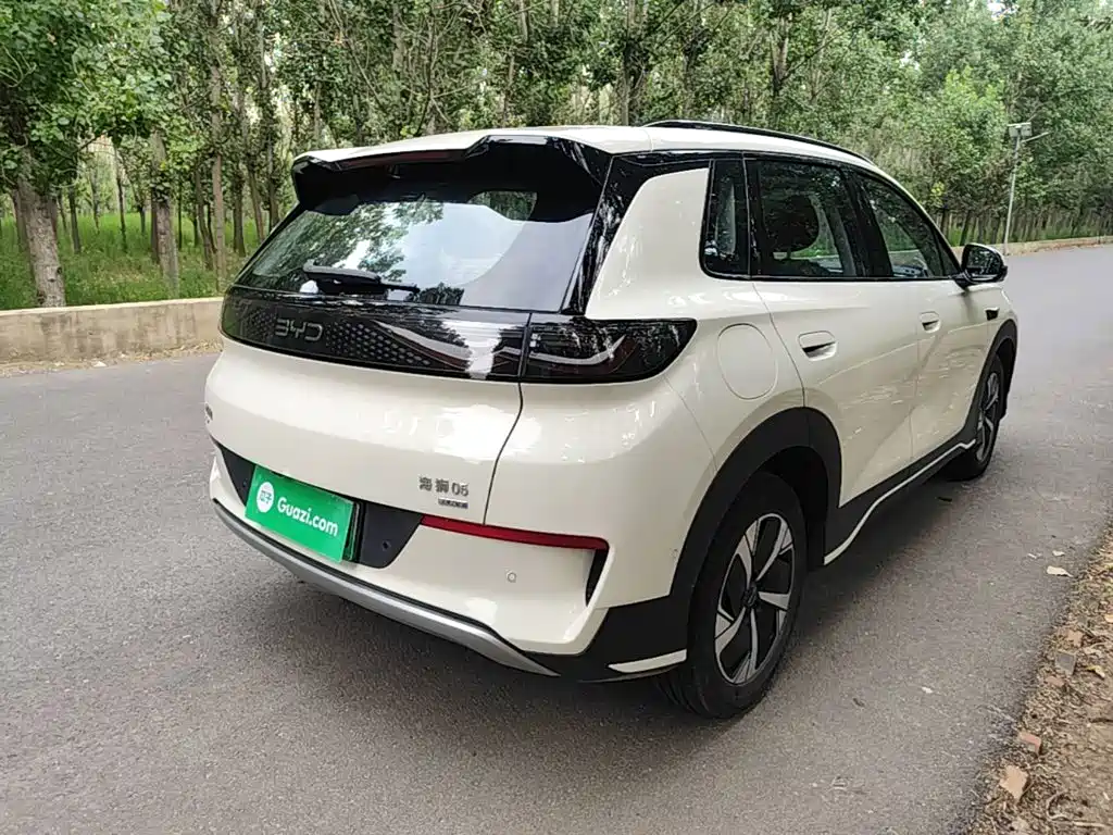 BYD 05 EV 2025 520KM
