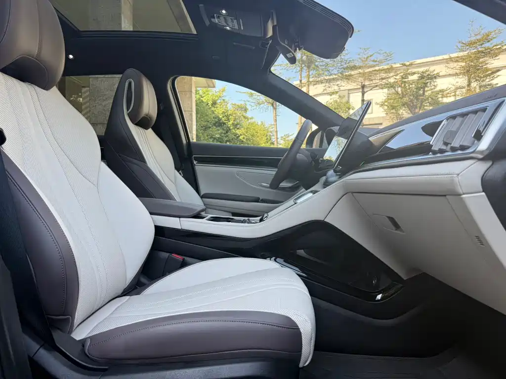 BYD SONGJIANG NEW ENERGY