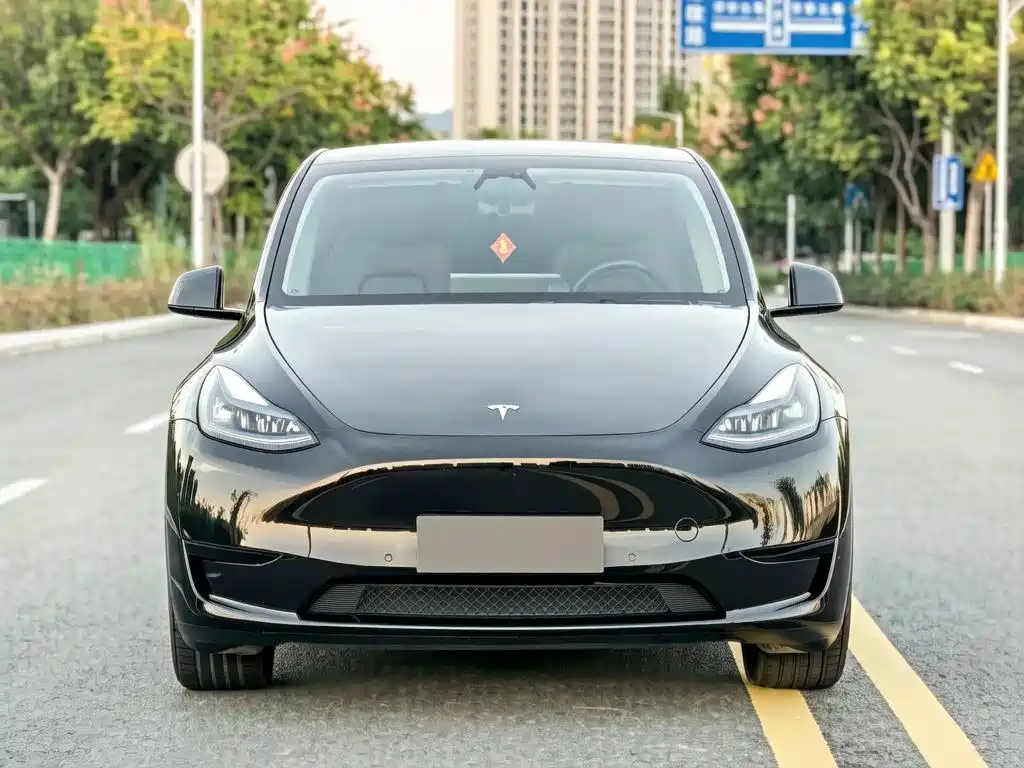 Tesla Model Y 2023 — фото 2