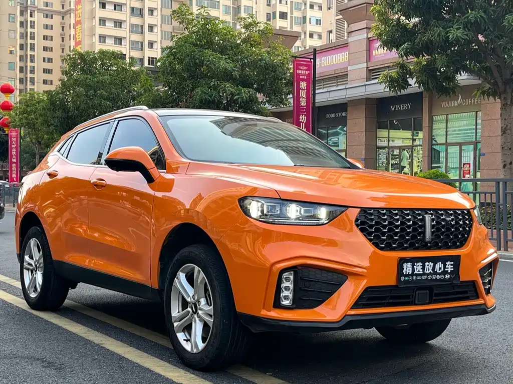 WEI PAI WEI BRAND VV5