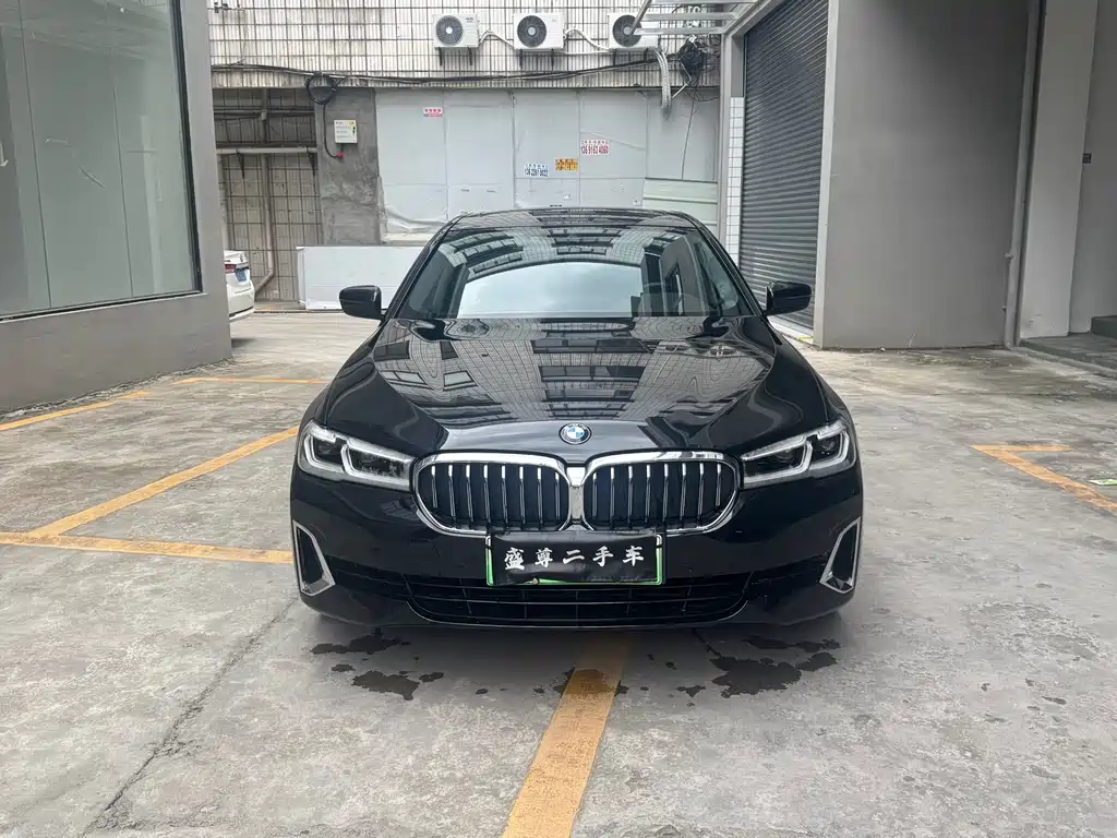 BMW 5 Series New Energy — миниатюра 2