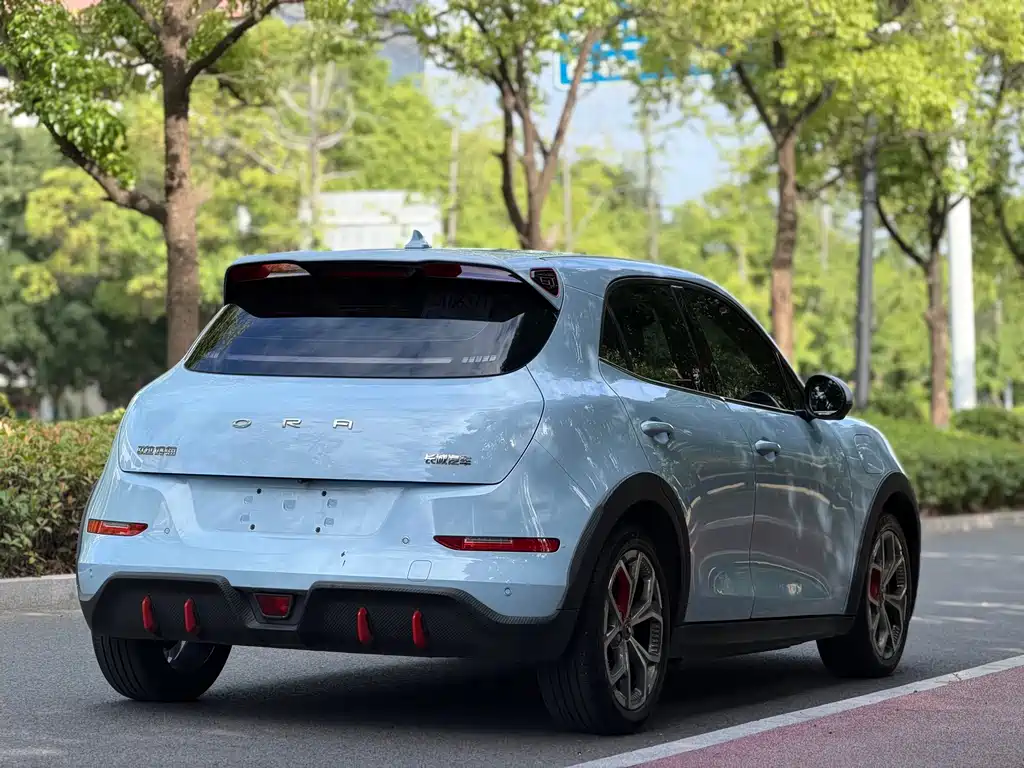 Ora Ora Good Cat GT — миниатюра 6