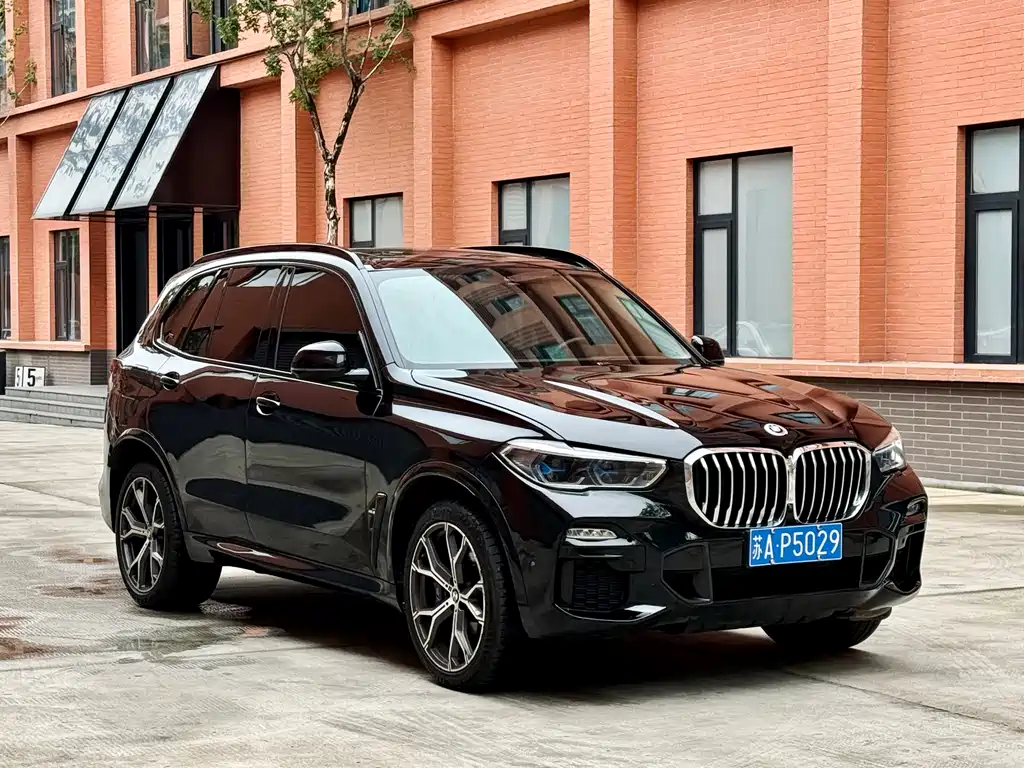 BMW X5 (Import) — миниатюра 3