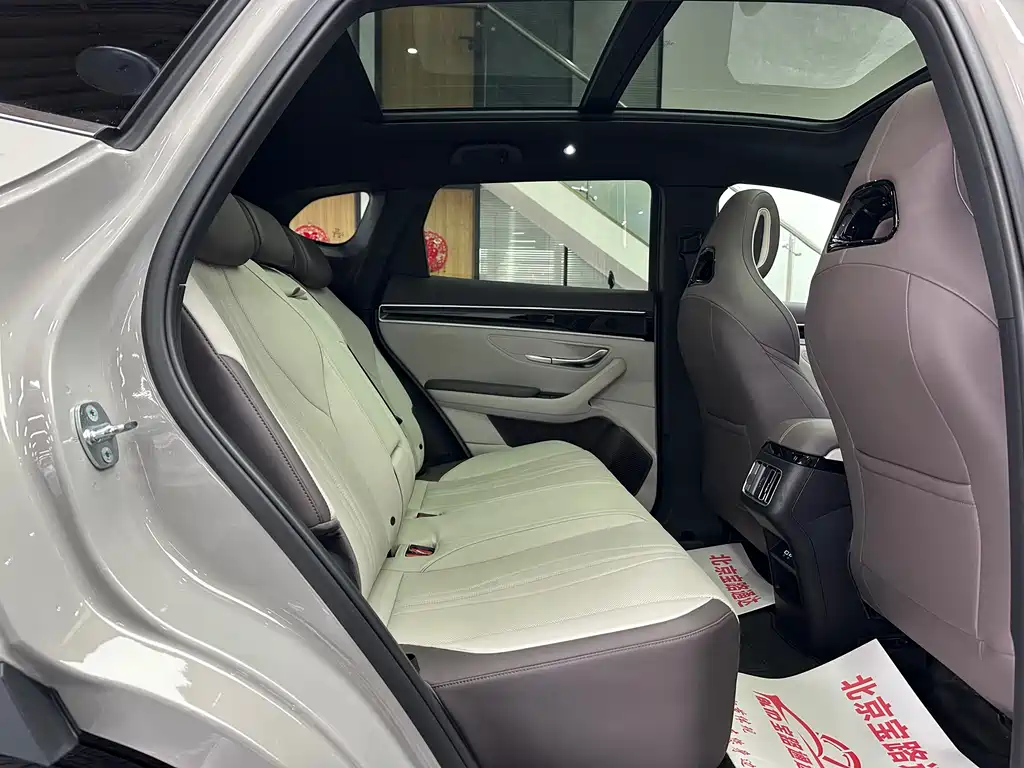 BYD SONGJIANG NEW ENERGY