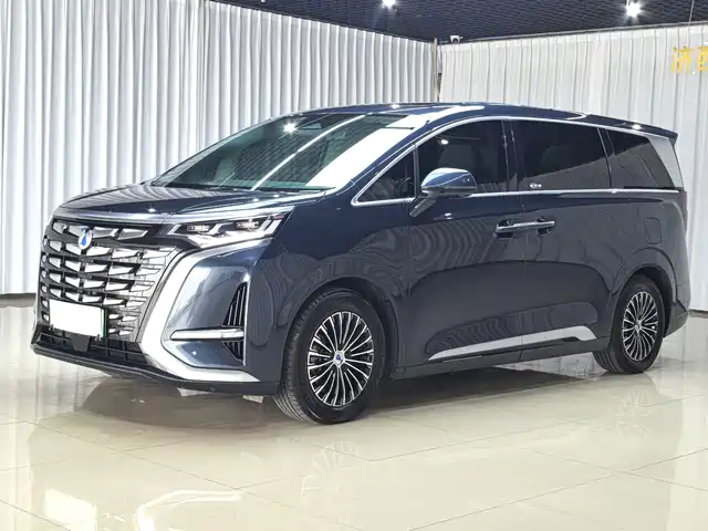 Denza D9