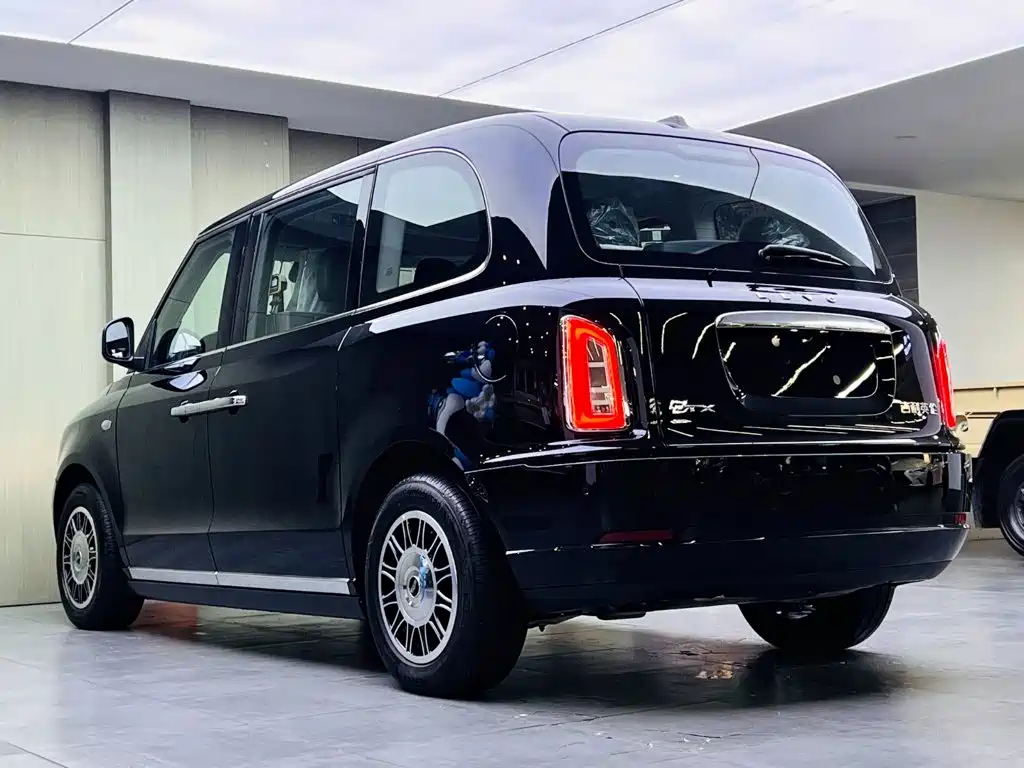 LEVC LEVC TX — миниатюра 6