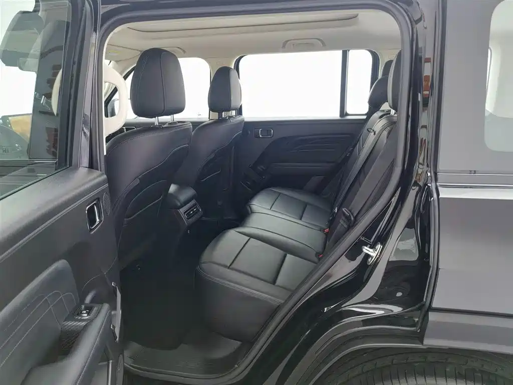 HAVAL RAPTORS NEW ENERGY