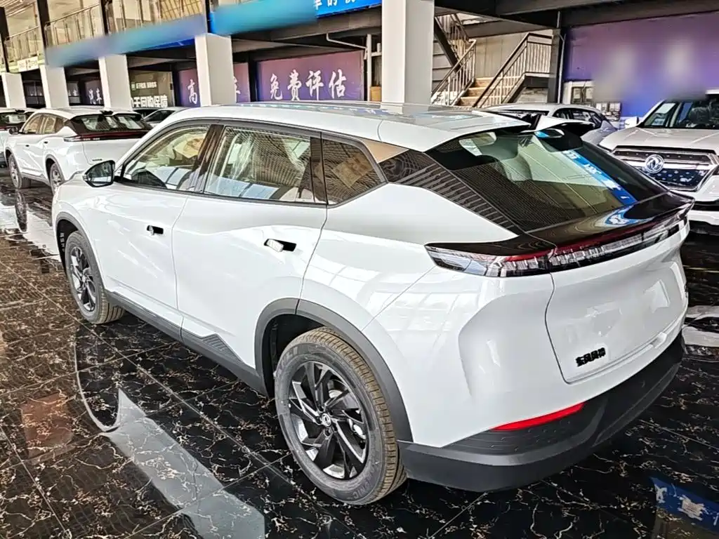 Aeolus SKY EV01 — миниатюра 13