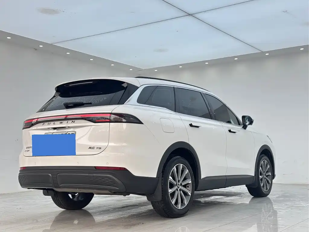 Fulwin Fengyun T9 — миниатюра 18