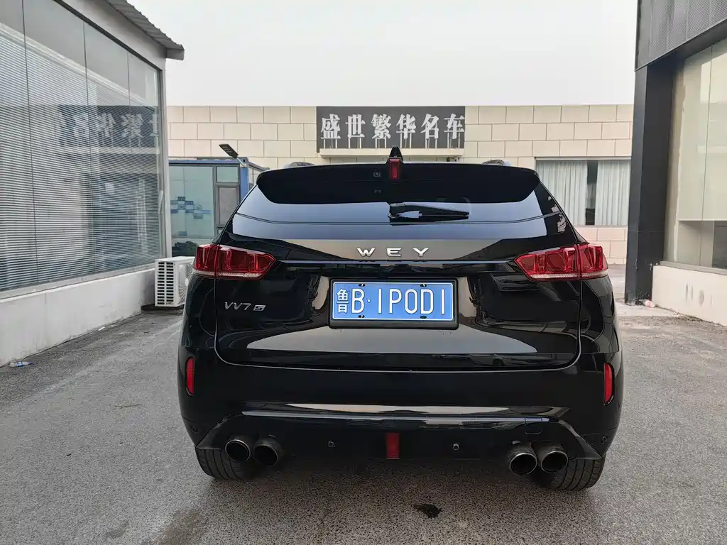 WEI PAI WEI BRAND VV7