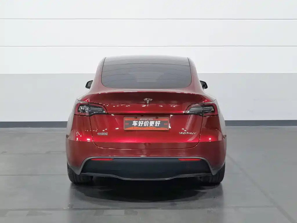 Tesla Model Y — миниатюра 4
