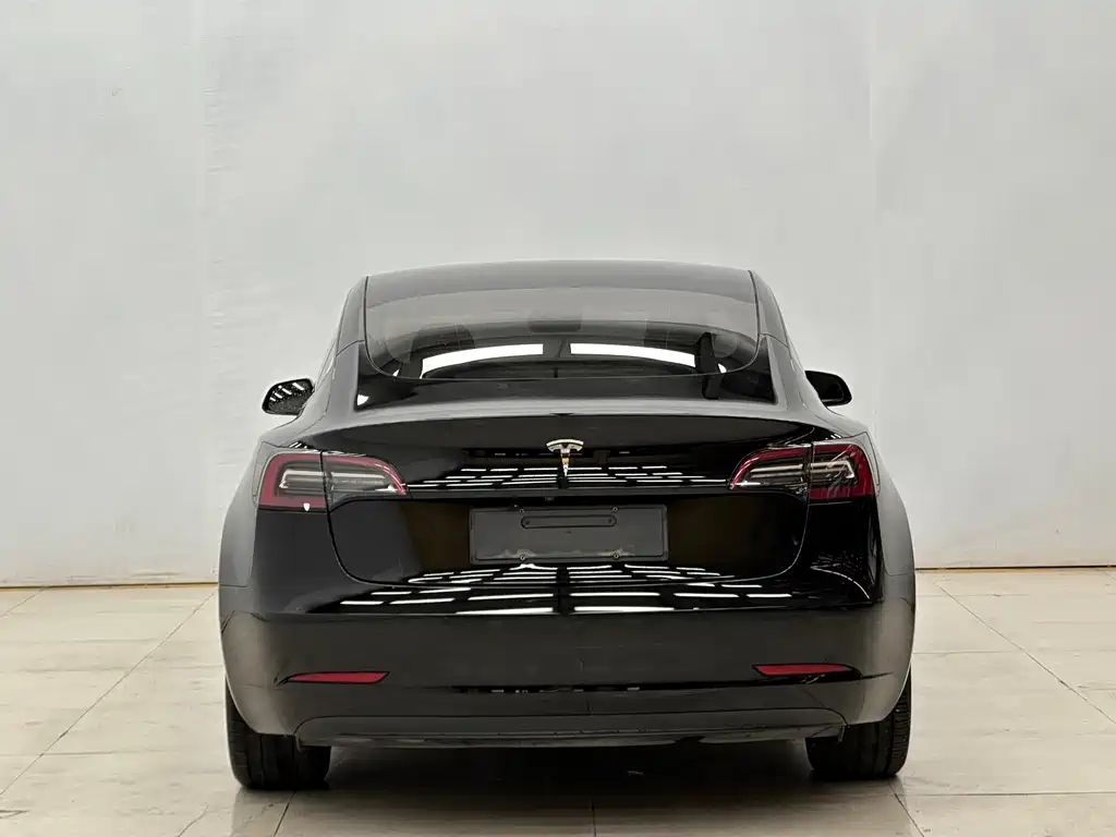 Tesla Model 3 — миниатюра 8
