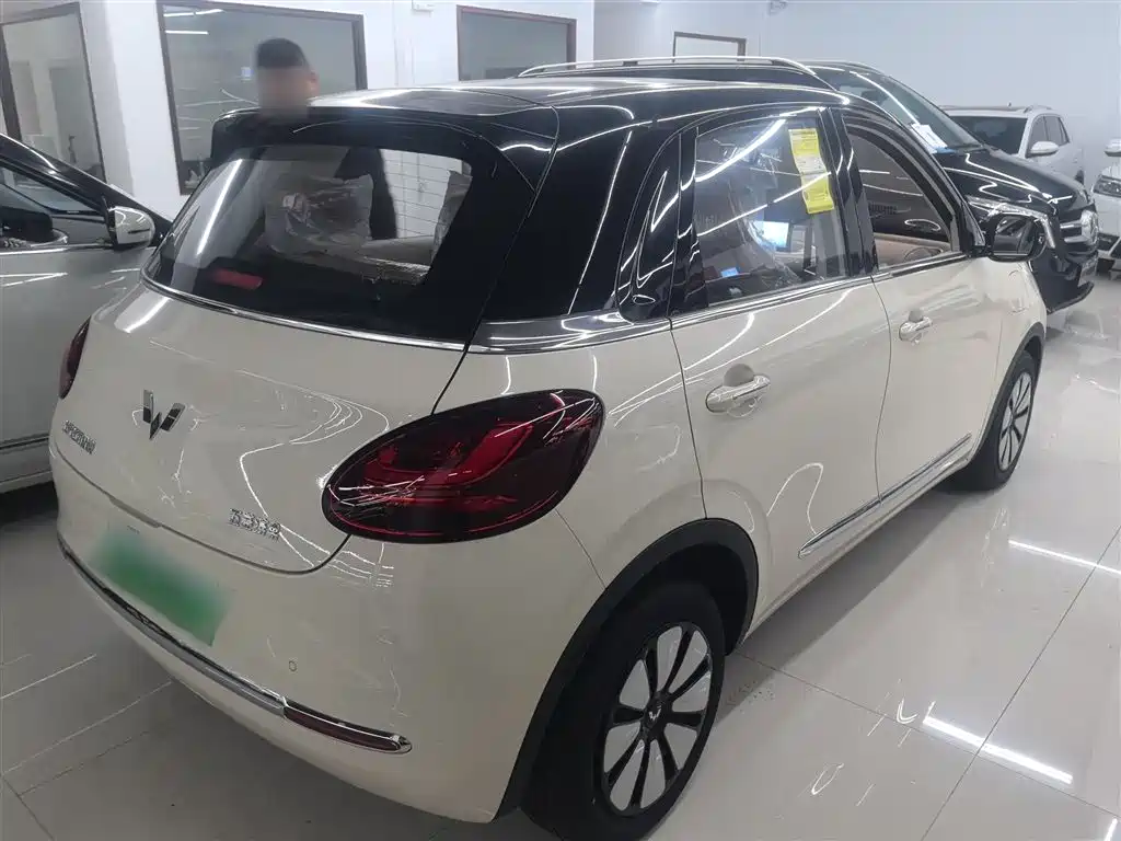 Wuling Binguo 2025 333km Enjoy