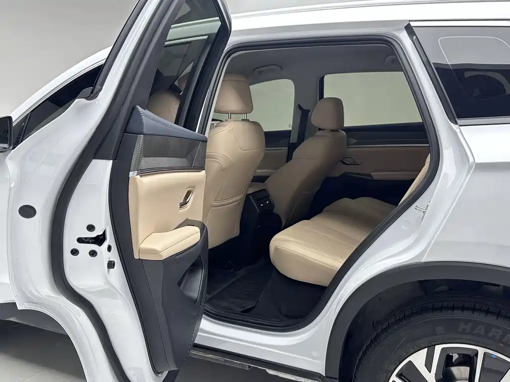 BYD SONGJIANG NEW ENERGY