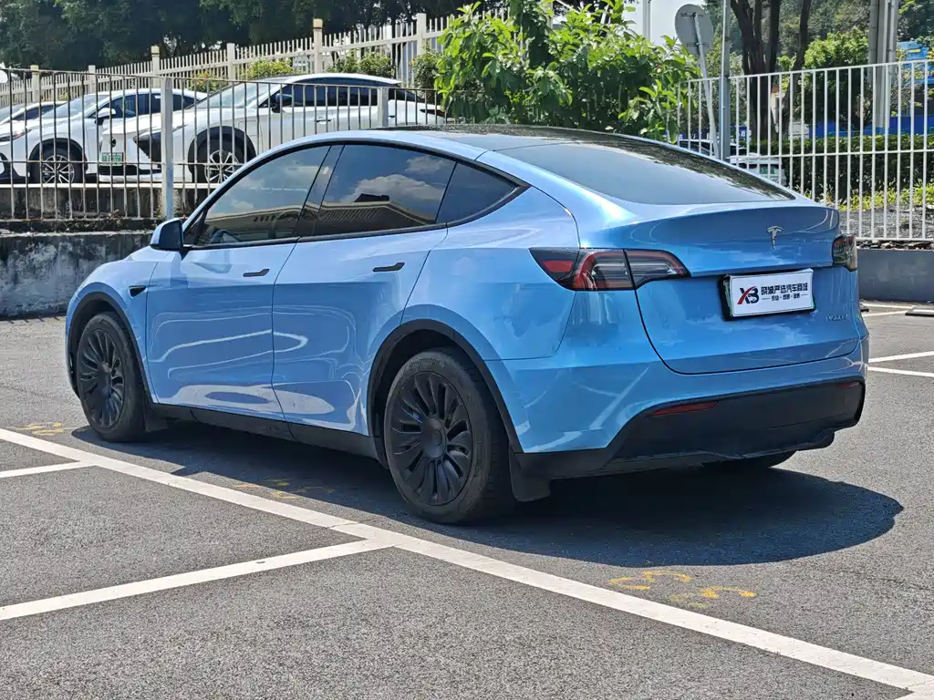Tesla Model Y — миниатюра 6
