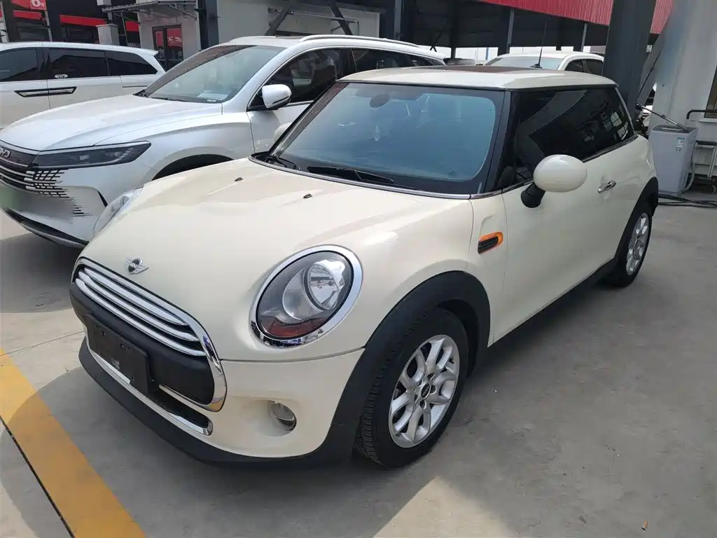 Mini Mini 2017