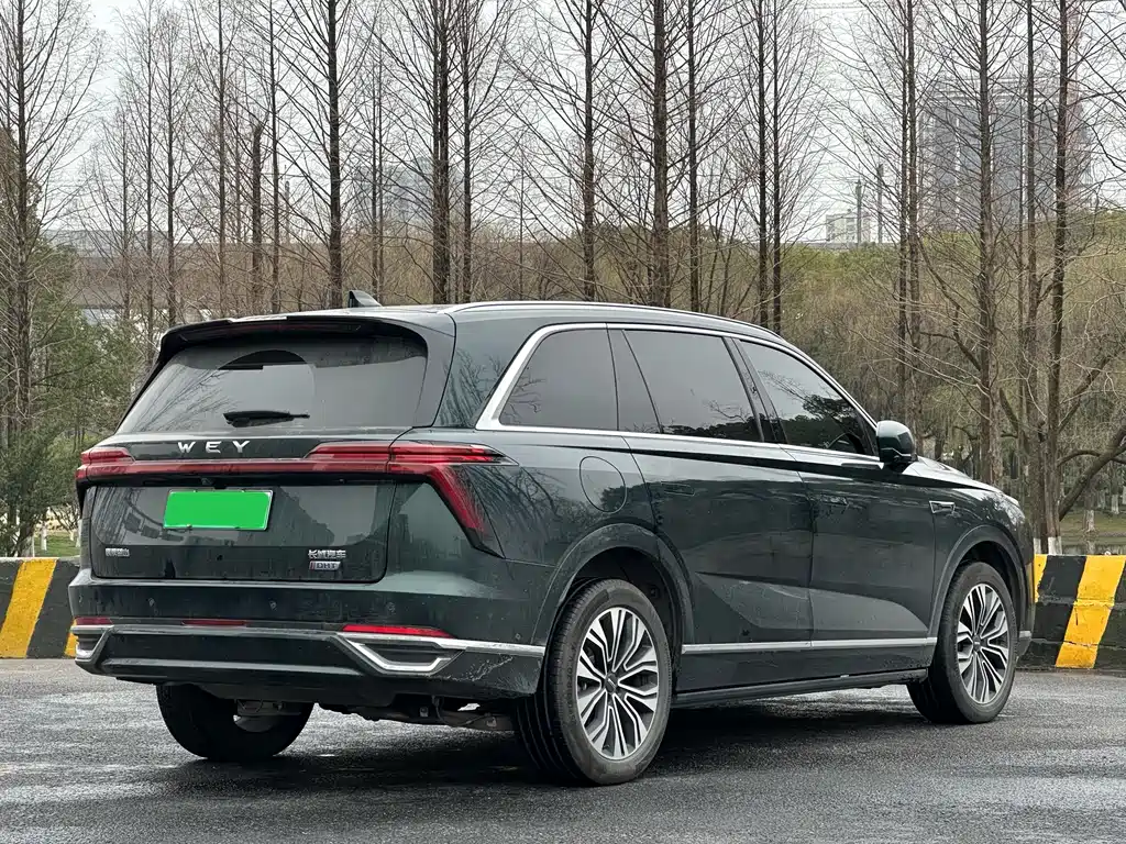 WEI PAI WEI BRAND BLUE MOUNTAIN