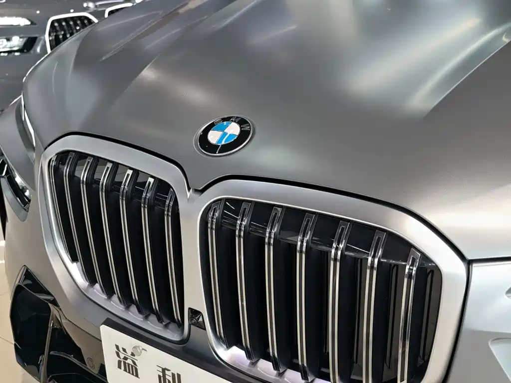 BMW X7 — миниатюра 12