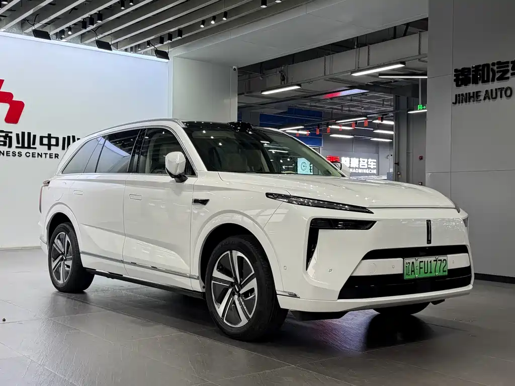 WEI PAI WEI BRAND BLUE MOUNTAIN