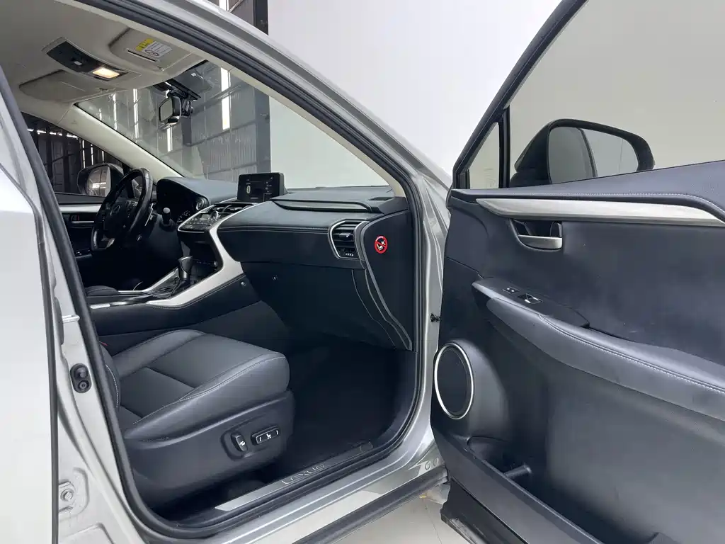 Lexus NX — миниатюра 20