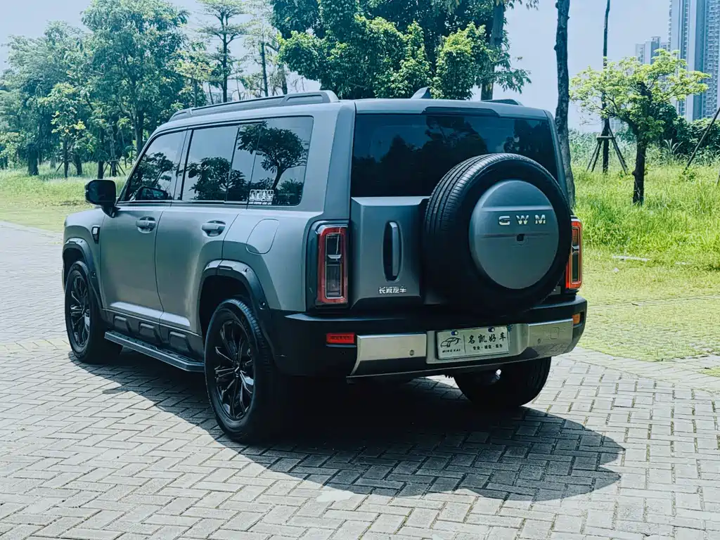 Haval Menglong Petrol — миниатюра 6