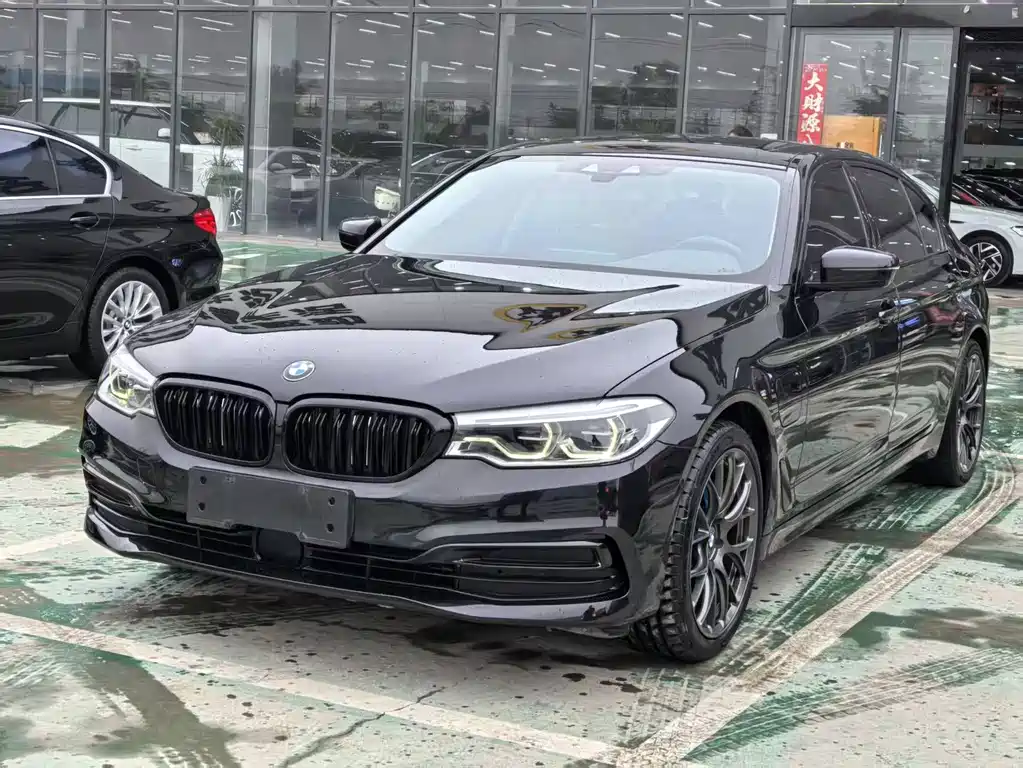 BMW 5 Series New Energy 2020