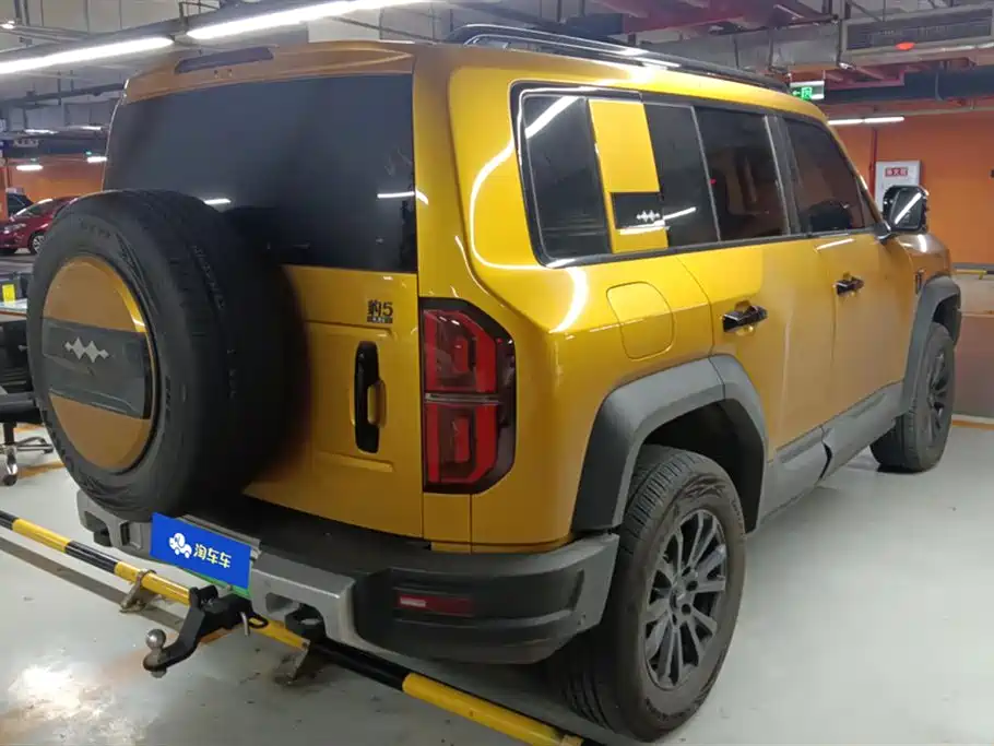 FANG CHENG BAO LEOPARD 5