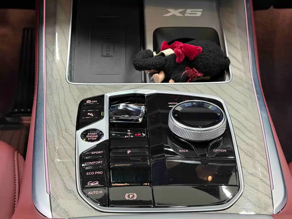 BMW X5 — миниатюра 12