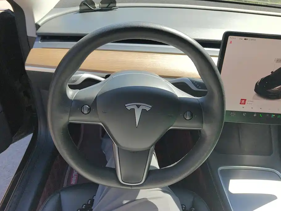 Tesla Model 3 — миниатюра 14