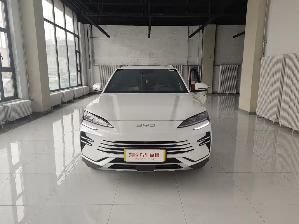 BYD SONGJIANG NEW ENERGY