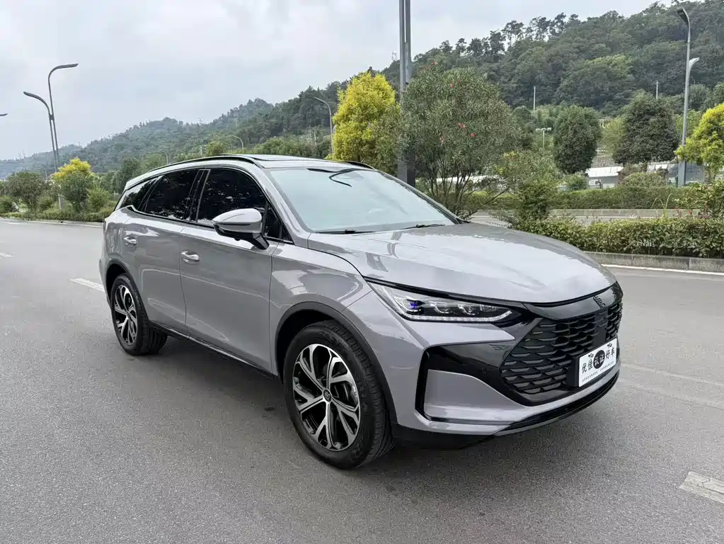 BYD Tang New Energy — миниатюра 3