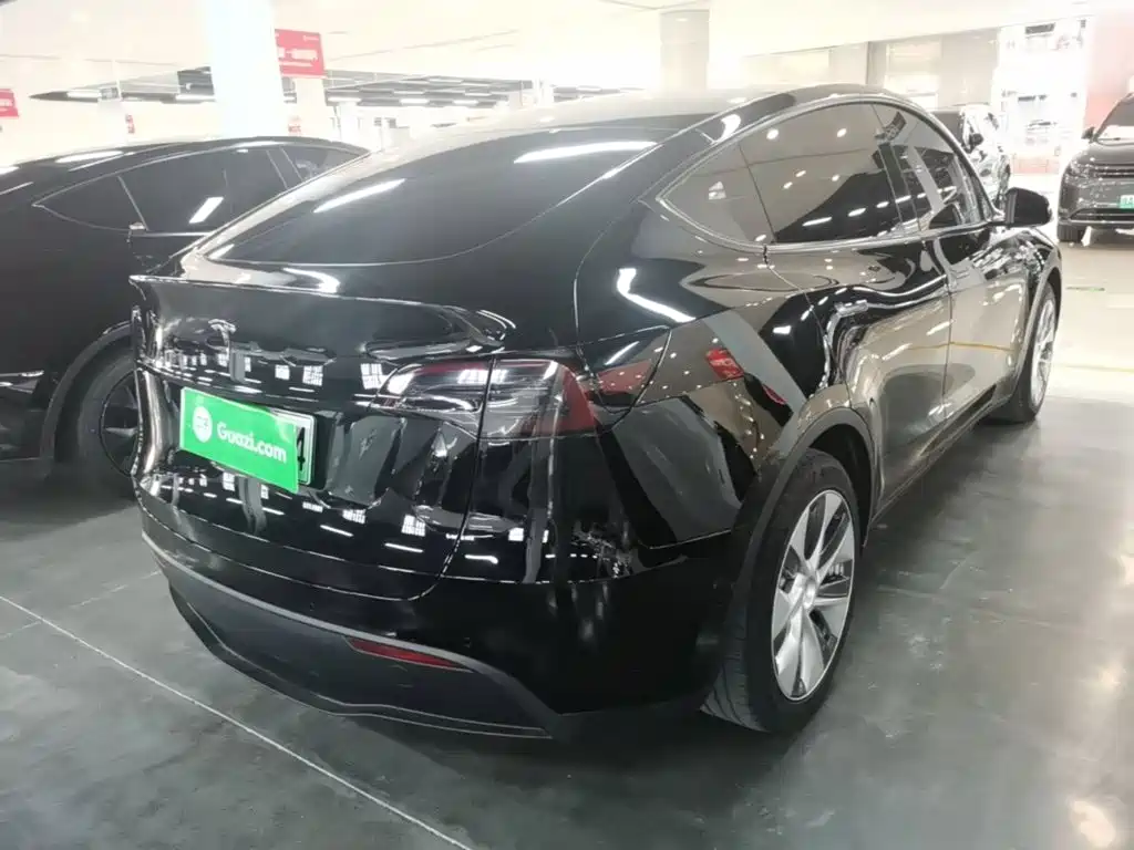 Tesla Model Y — миниатюра 7