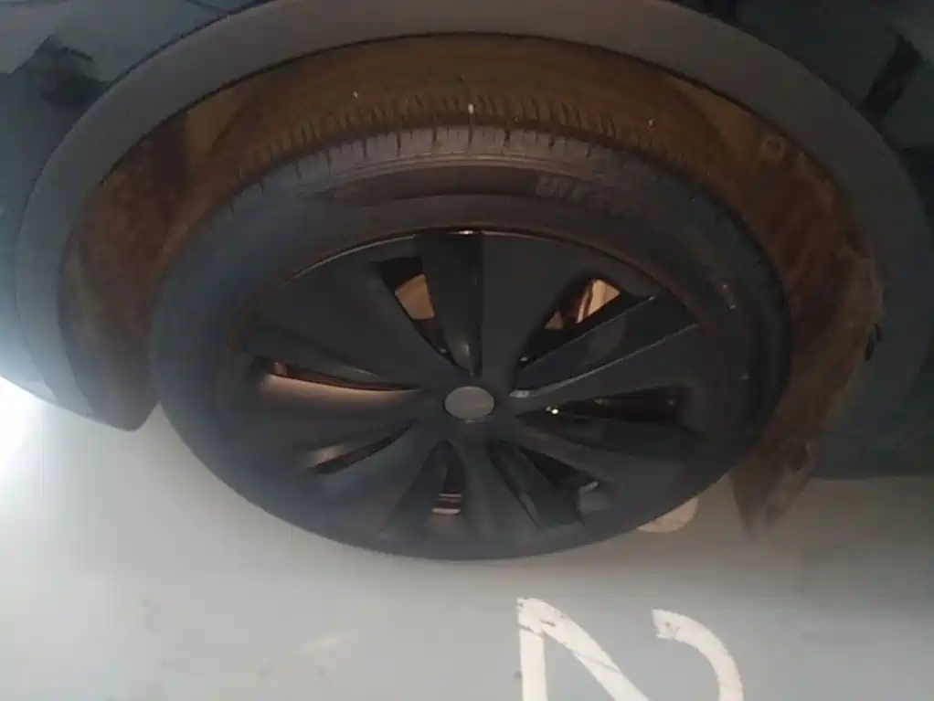 Tesla Model Y — миниатюра 23