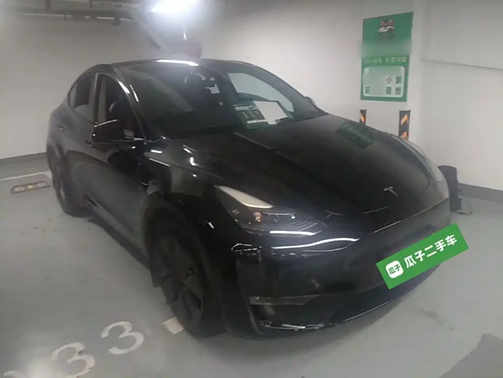 Tesla Model Y — миниатюра 4