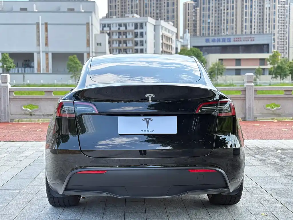 Tesla Model Y — миниатюра 8