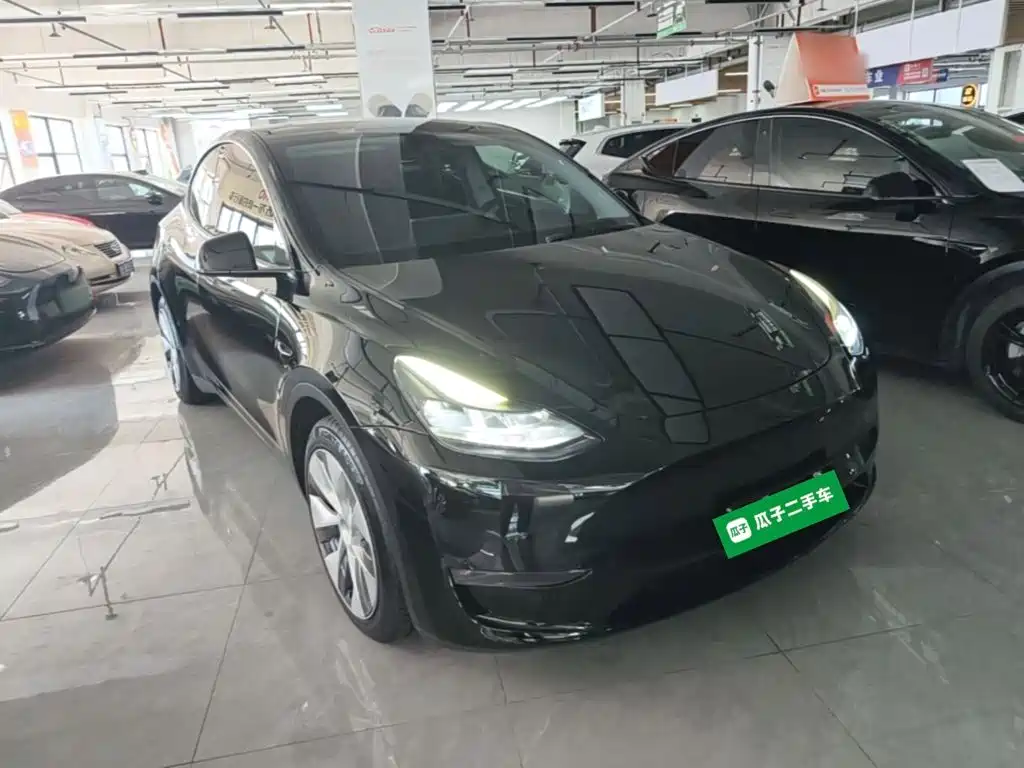 Tesla Model Y — миниатюра 4
