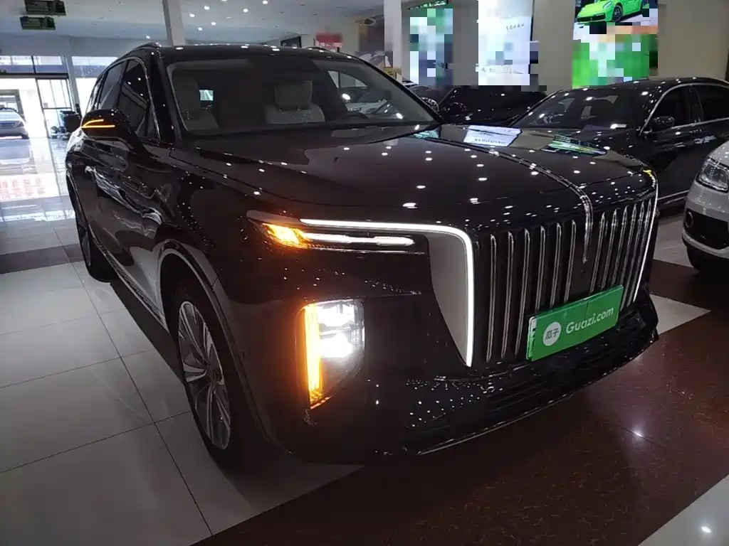Hongqi Hongqi E-HS9 — миниатюра 4