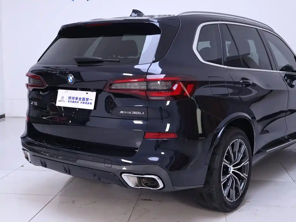 BMW X5 — миниатюра 8