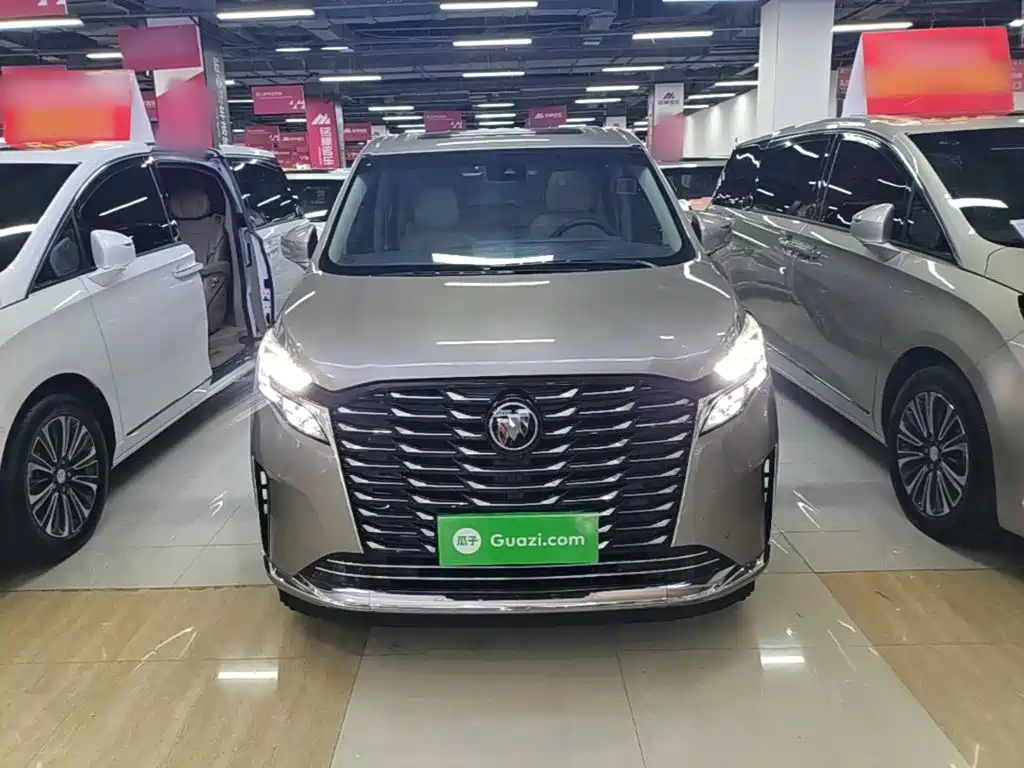 Buick GL8 — миниатюра 3