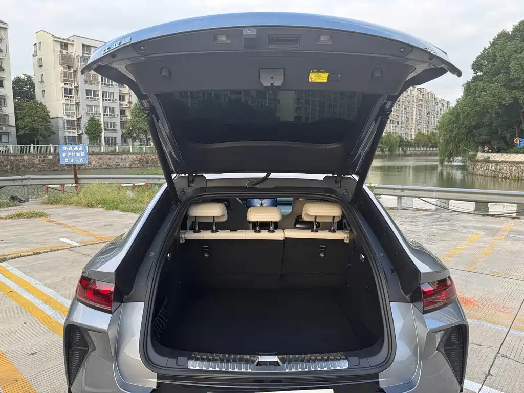 BYD L EV — миниатюра 14