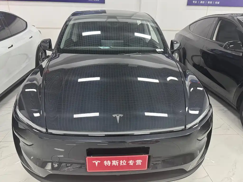 Tesla Model Y — миниатюра 2