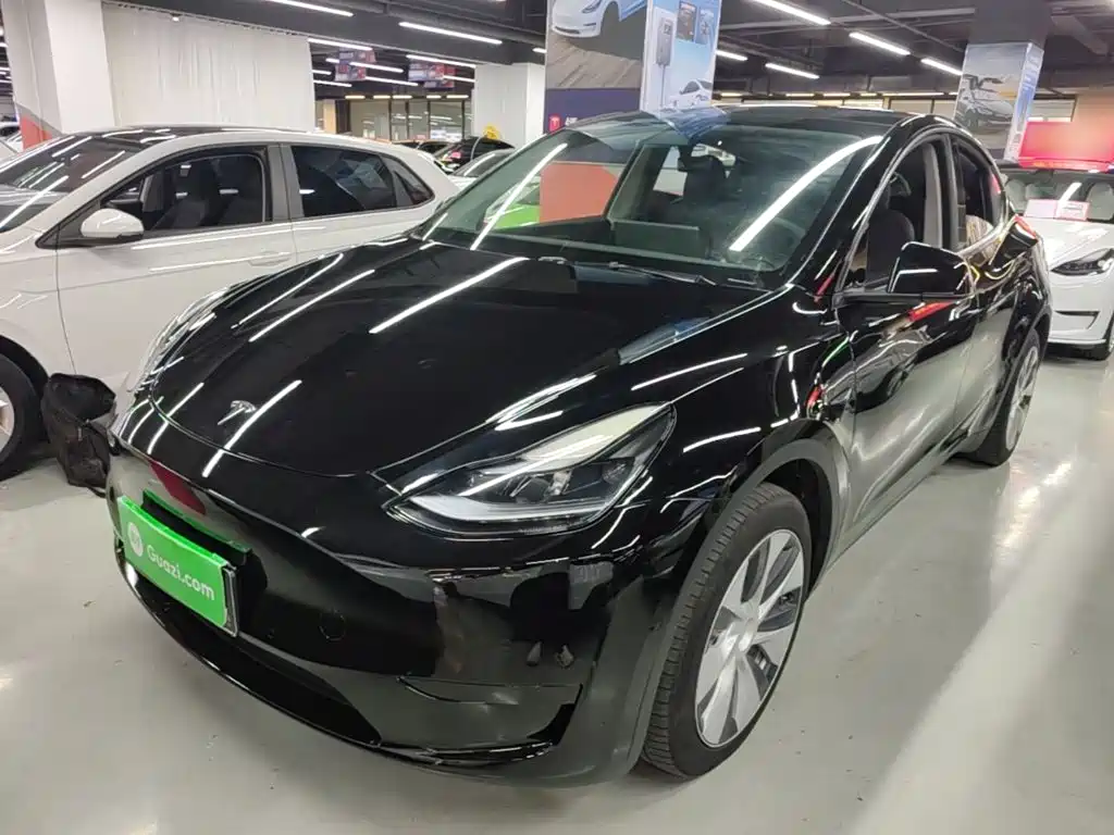 Tesla Model Y — миниатюра 2
