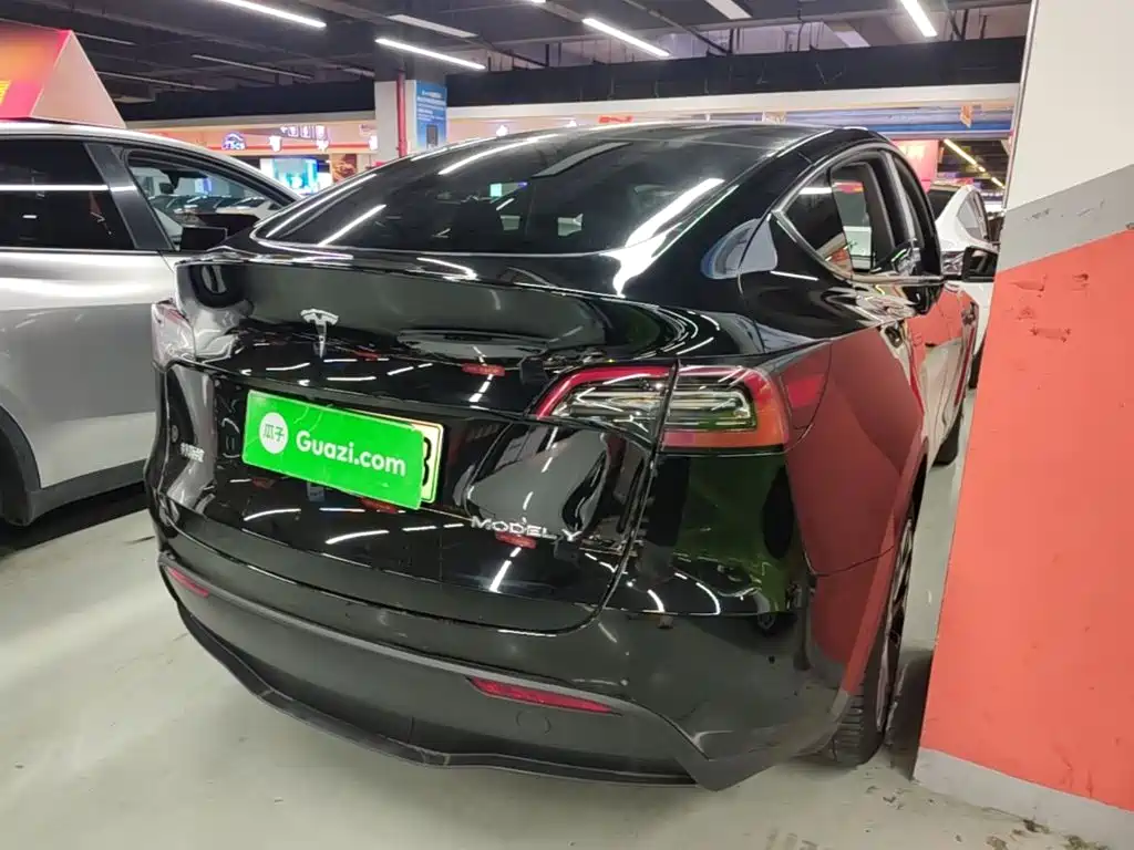 Tesla Model Y — миниатюра 7